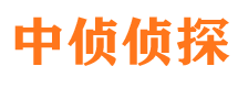 罗湖市调查公司